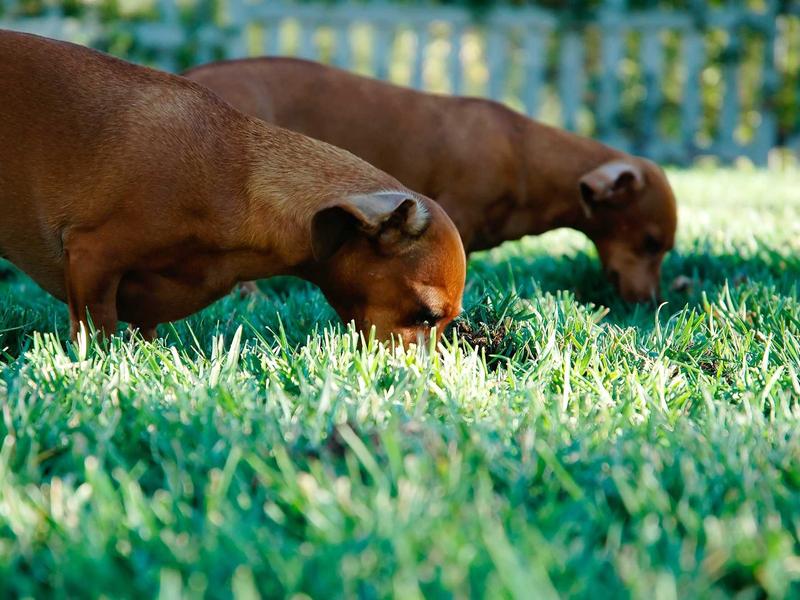 视觉暂留<br>ujcbtdu.cn 走马灯动画